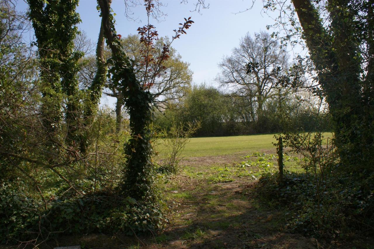 Spacious 4 Bed Family Cottage In Parkland Setting York Eksteriør billede